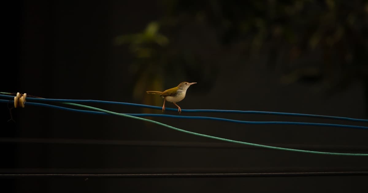 Heartfelt and Meaningful Birthday Wishes for Daughter-in-Law: A Complete Guide