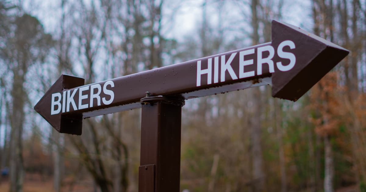 The Ultimate Guide to Crafting Hilarious and Heartfelt Funny Happy Birthday Wishes