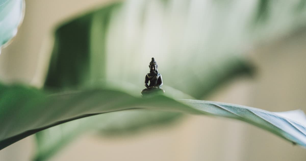 Crafting the Perfect "Happy Birthday Wishes for Best Friend": A Complete Guide