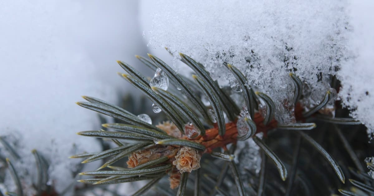 Crafting Perfect Birthday Wishes for a Coworker: A Comprehensive Guide