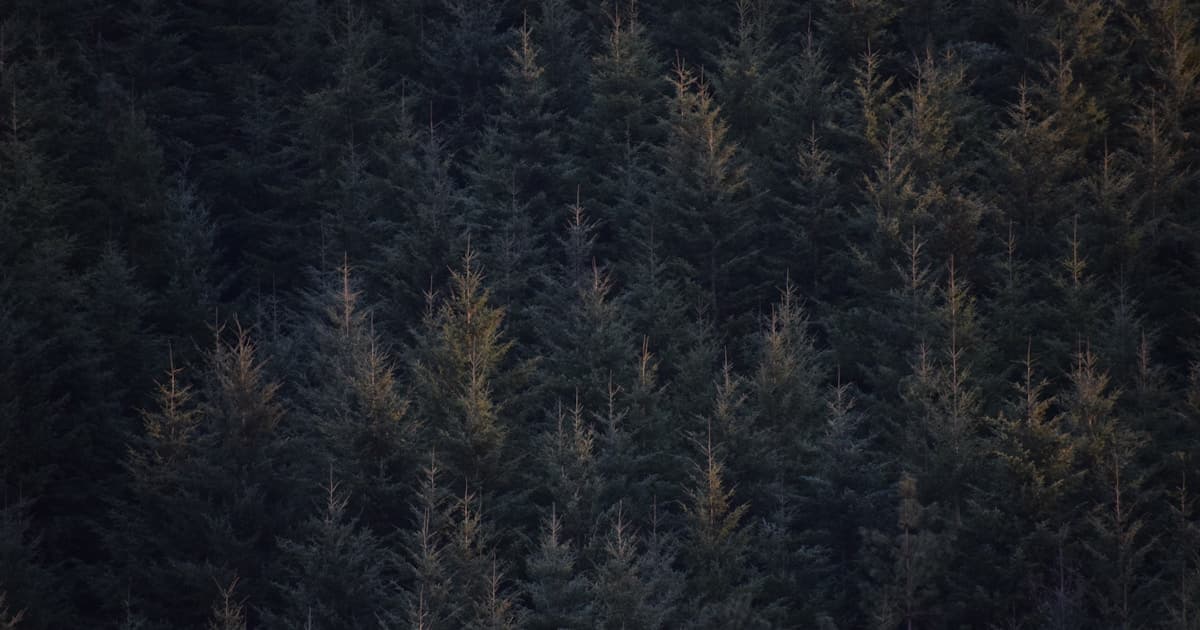 Crafting the Perfect Message: Heartfelt Happy Birthday Wishes for Daughter at Every Age