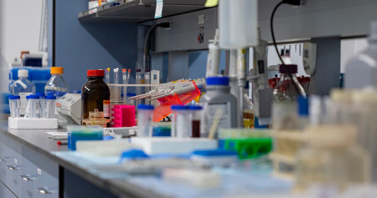 How to Send Perfect Belated Happy Birthday Wishes: Etiquette, Examples, and Recovery